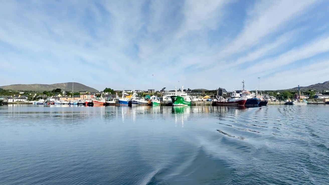 The Castletownbere fishing fleet