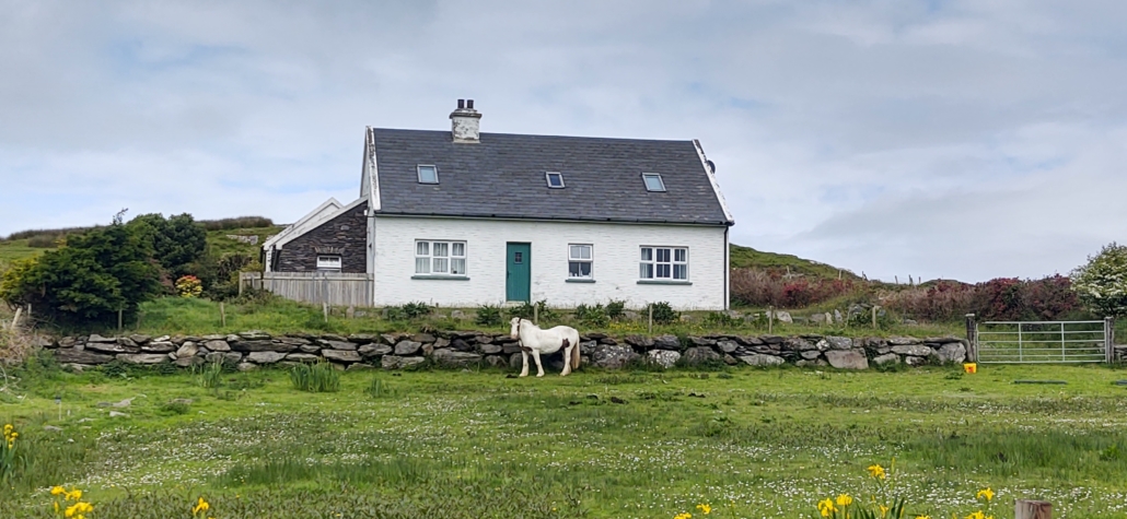 White house and a horse Ireland Ring of Kerry