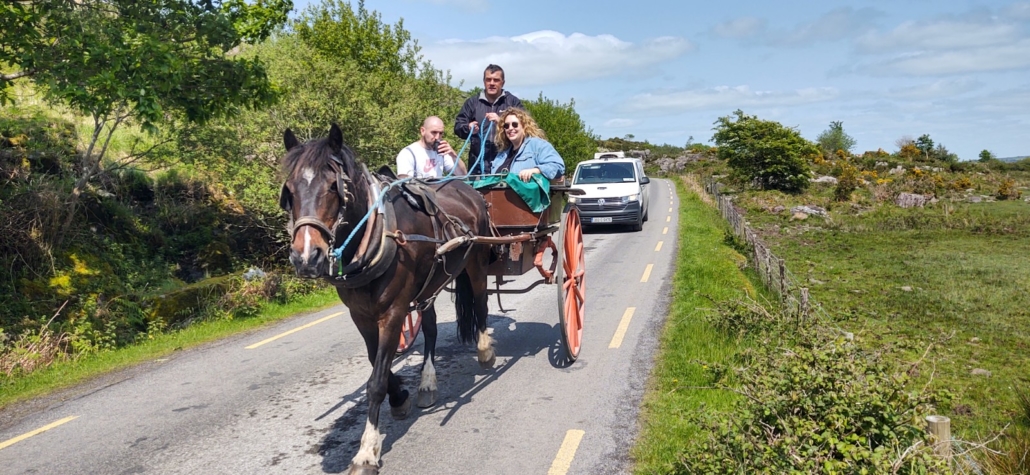 One of many jaunting cars on the Gap of Dunloe