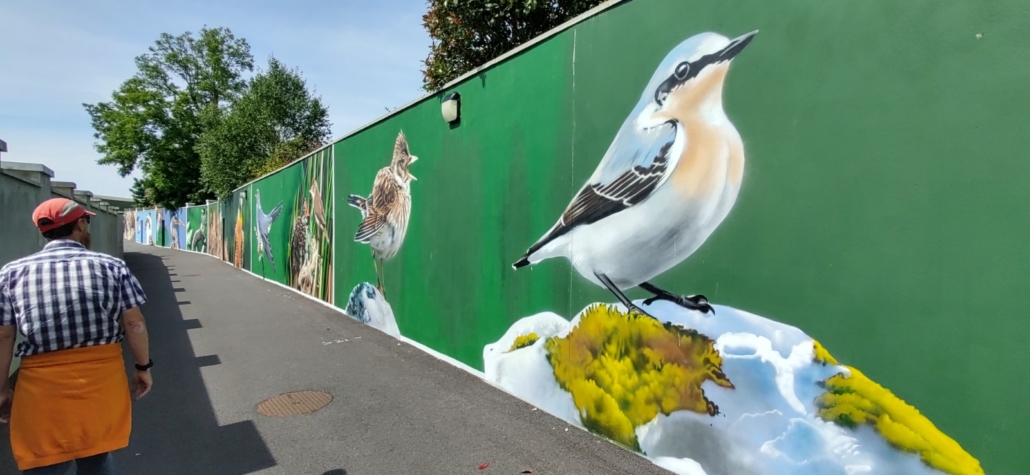 Walls painted with animal murals