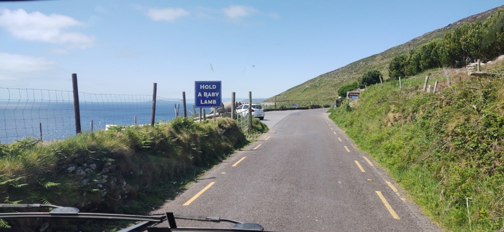 Hold a Baby Lamb: the literal name for what you can do at this stop-off on the Dingle Peninsula
