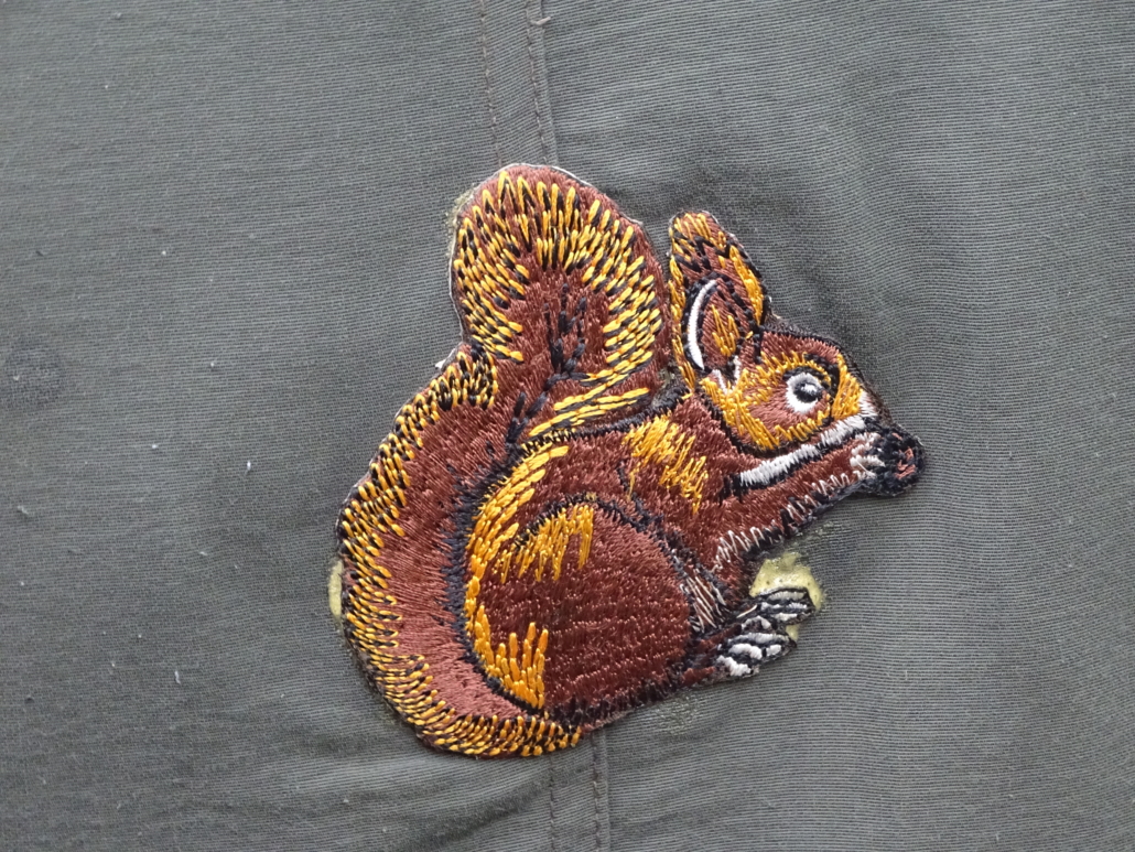 Req squirrel on Will's jacket at the Nant y Pandy Dingle nature reserve at Lilangeni Anglesey Wales