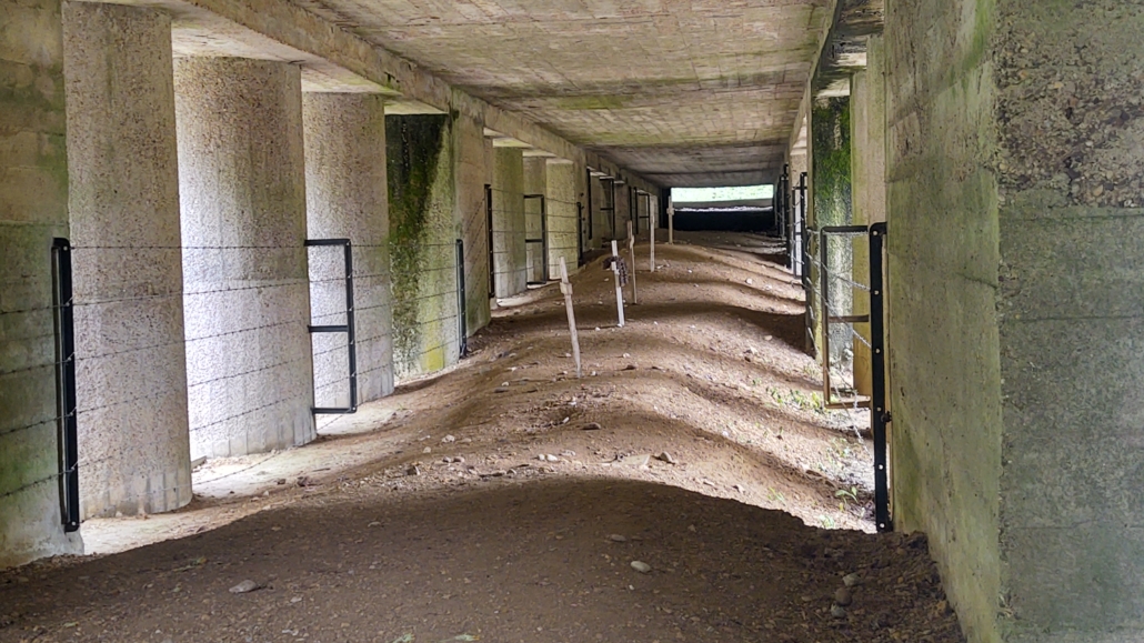 The Trench of Bayonets, Battle of Verdun, WW1