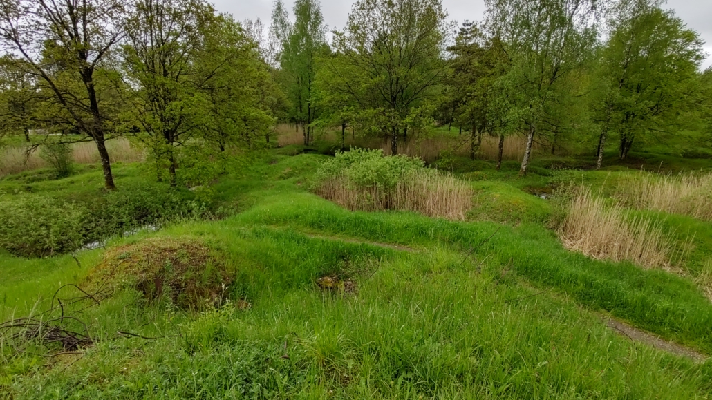 A small area of Red Zone: land blown up time and again with shells. The craters now form small ponds occupied by wildlife. Bird song echoes across the forest.