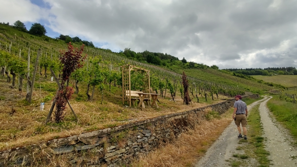 Hiking on the Moselsteig Trail near Mehring