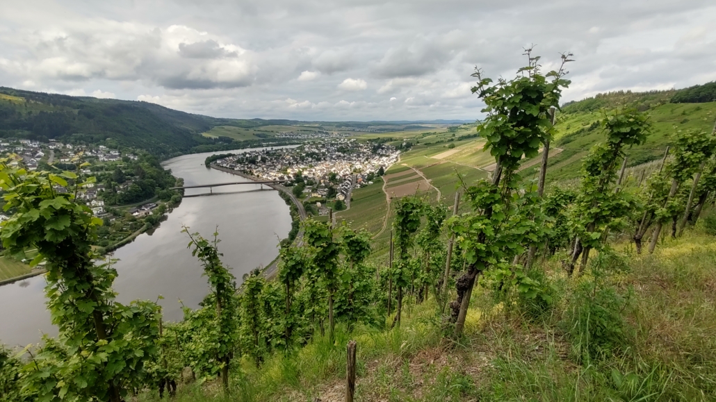 Hiking on the Moselsteig Trail near Mehring