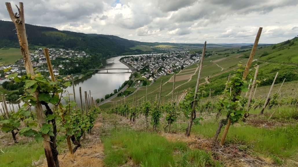 Hiking on the Moselsteig Trail near Mehring