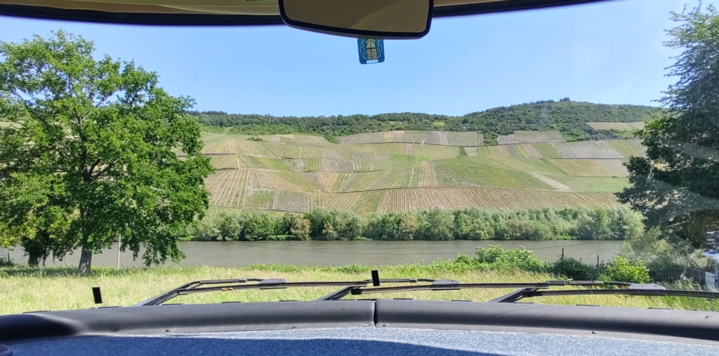 view of vines from motorhome windscreen