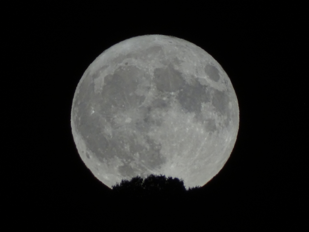 Blue Moon in France