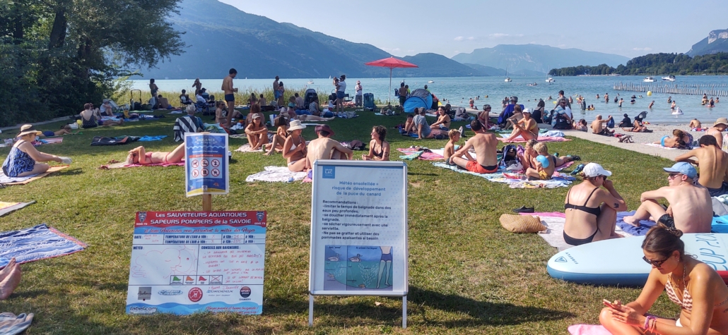 Puce de Canard warnings on Lac du Bourget Beach