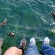 Feet and ducks