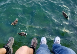 Feet and ducks