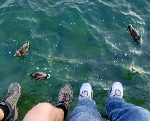 Feet and ducks