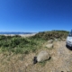 Motorhome parked by a beach