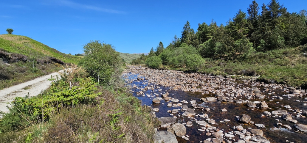 Path next to river