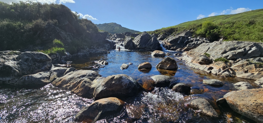 Jay having a dip in the burn