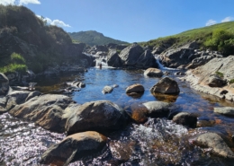 Jay having a dip in the burn