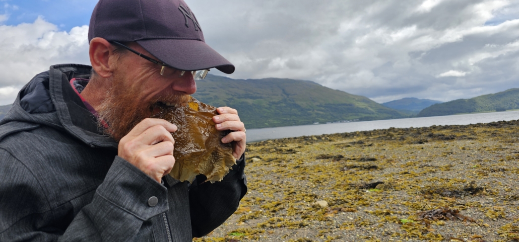 Man eats seaweed, declares it 'tasty, a bit salty'