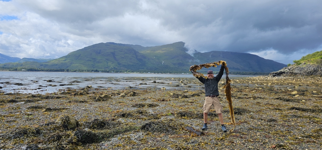 Man finds seaweed on beach walk